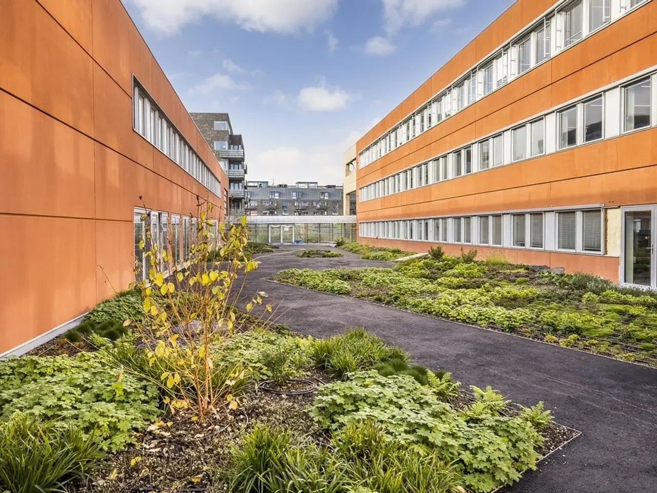 Billede 4 - 1.045 m² kontor med direkte udgang til gårdhave