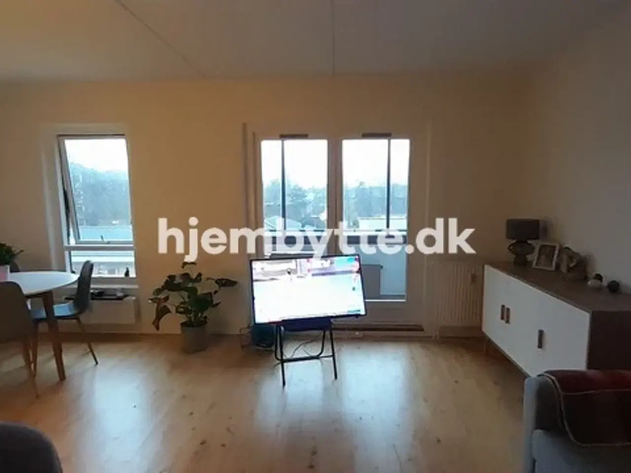 Billede 6 - Hjembytte - Sennepshaven