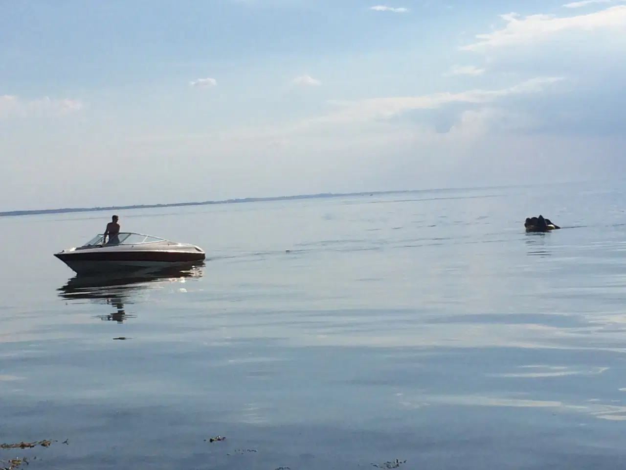 Billede 14 - Bayliner 2050 Capri