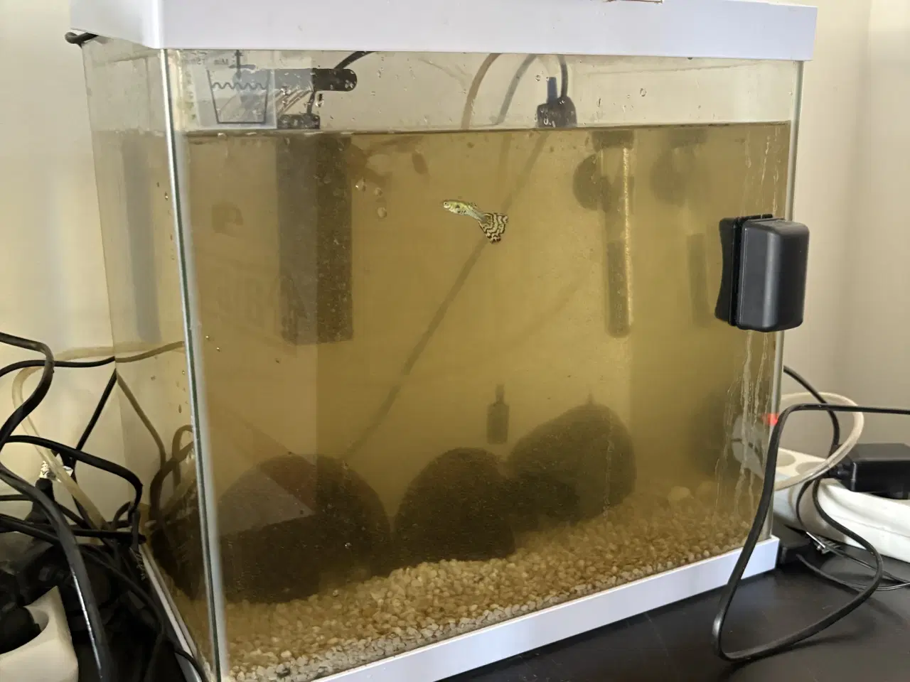 Billede 1 - 2 styks akvarie