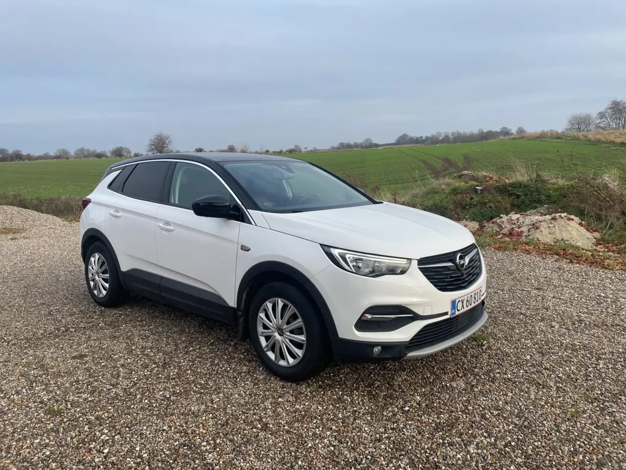 Billede 3 - Opel Grandland X 1,6 CDTi 120 Innovation aut.