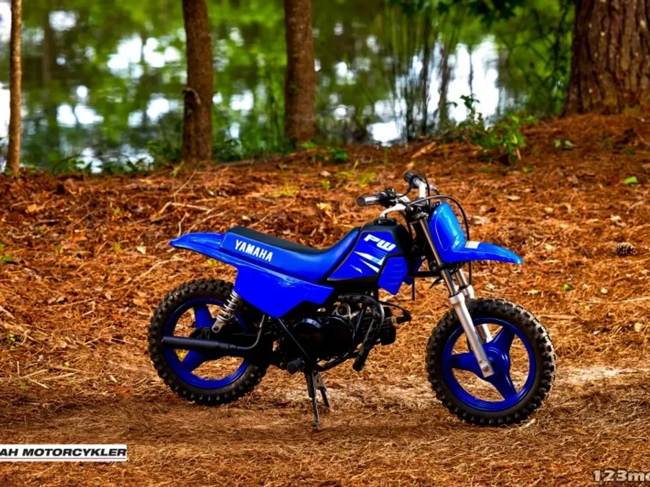 Billede 9 - Yamaha PW 50