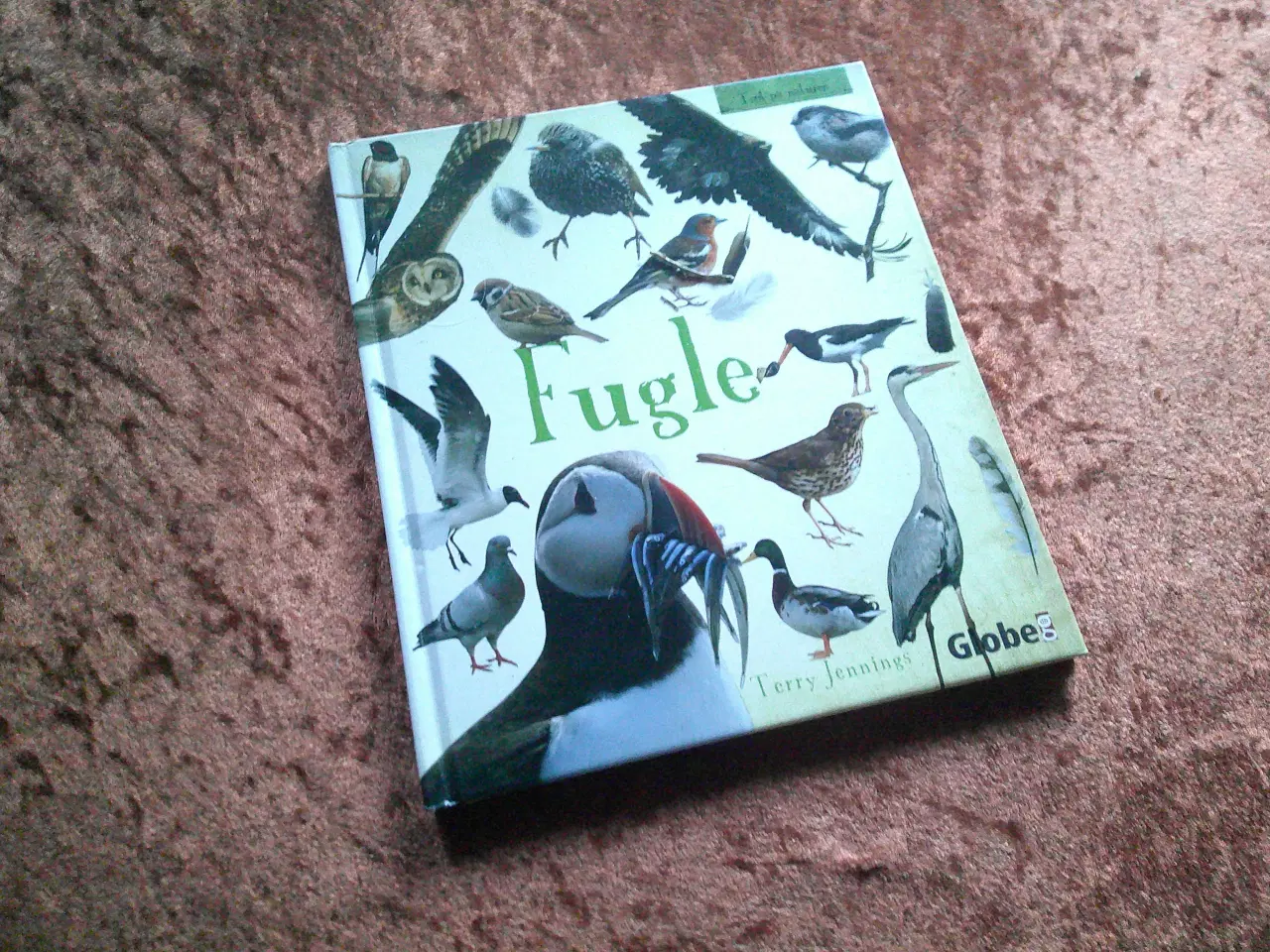 Billede 1 - Fugle, Terry Jennings