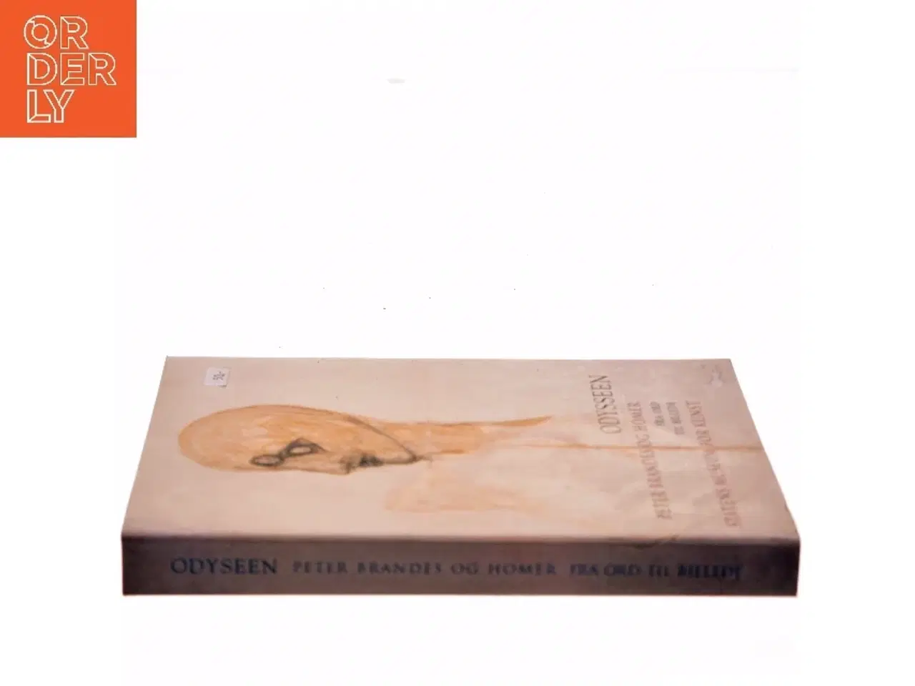 Billede 2 - Odysseen af Peter Brandes (Bog)