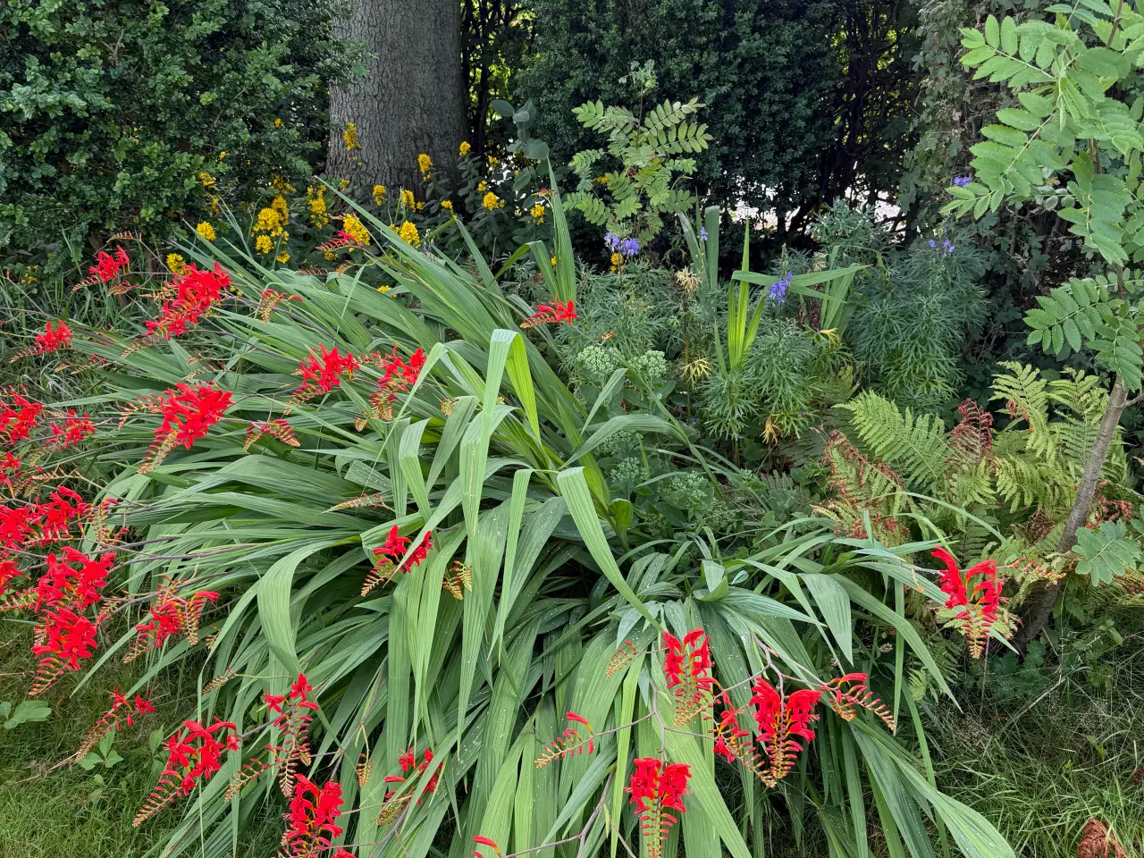 Billede 9 - Kolonihave til salg, Randers NV - Bjergbyparken