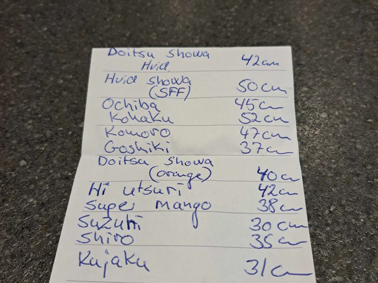 Billede 16 - Koikarper 