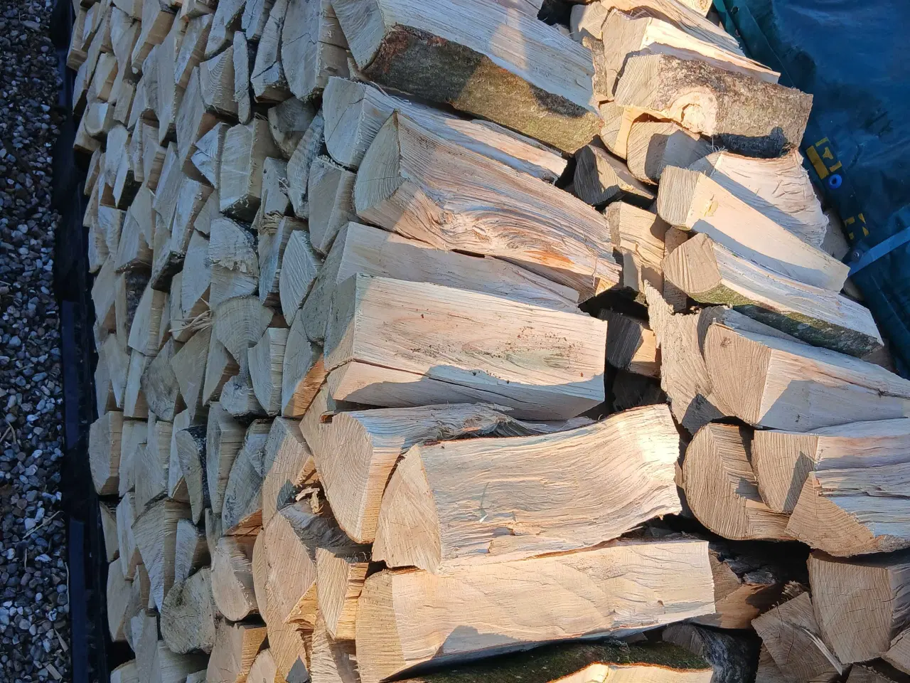 Billede 1 - Brænde sælges 