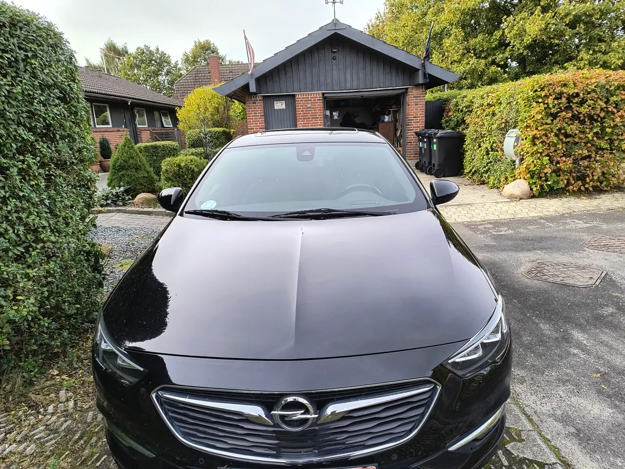 Billede 3 - Opel Insignia OPC 2018, 66,000 km