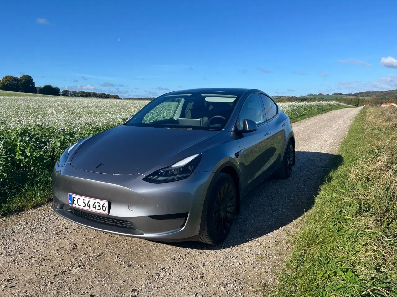 Billede 6 - Tesla Model Y  Long Range RWD