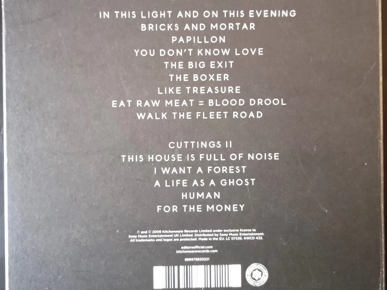 Billede 2 - Editors: In This Light And On This Evening