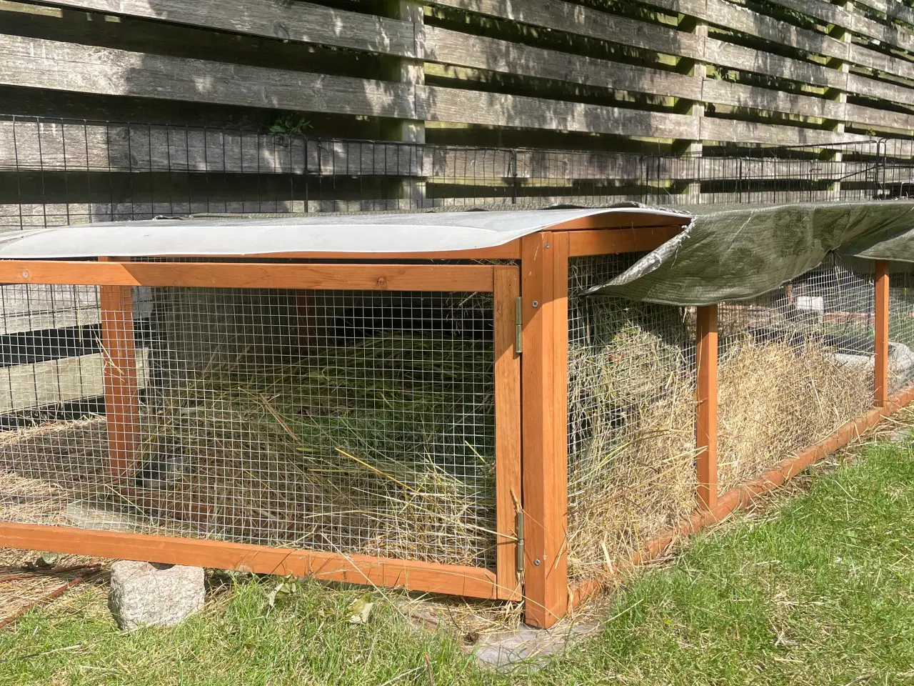 Billede 8 - Mini lop han inkl. løbegård, indhegning m.m. 