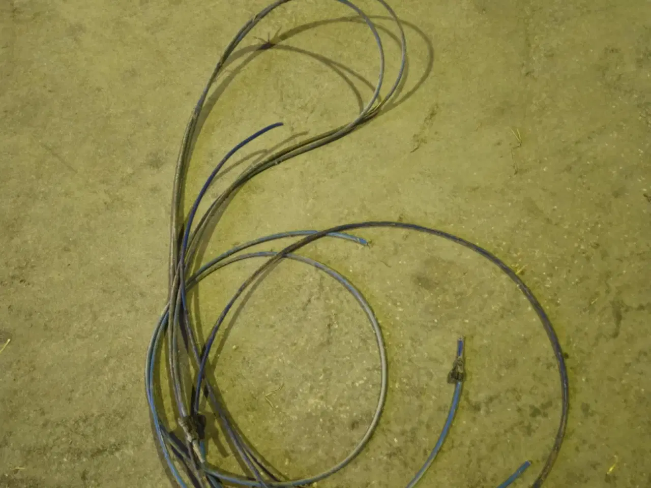 Billede 4 - DLG First Feeder