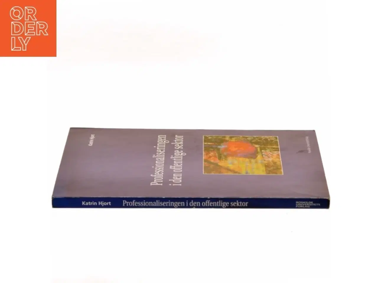 Billede 2 - Professionaliseringen i den offentlige sektor af Katrin Hjort (Bog)