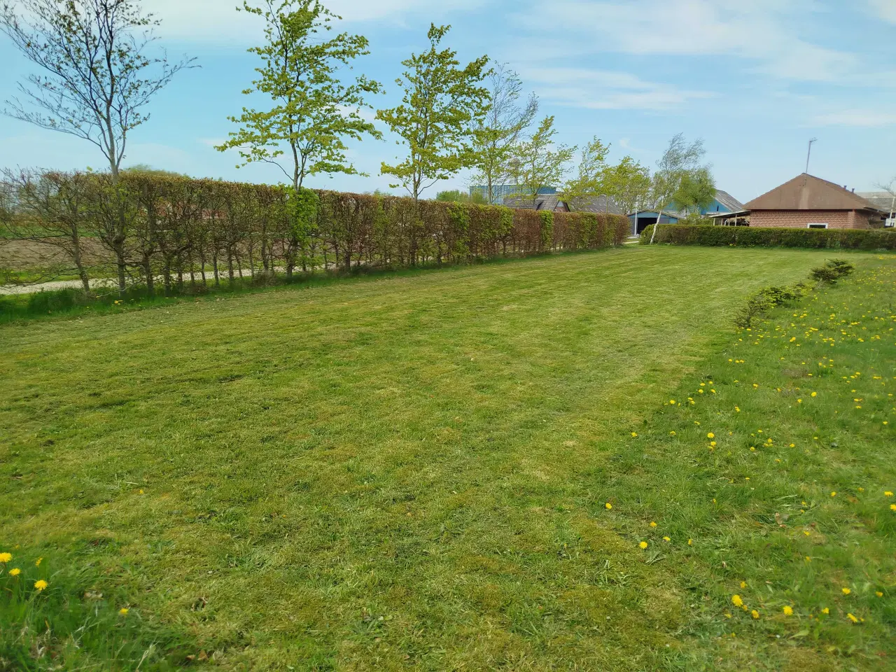 Billede 6 - Byggegrund til salg - 1350m grund halvårgrund