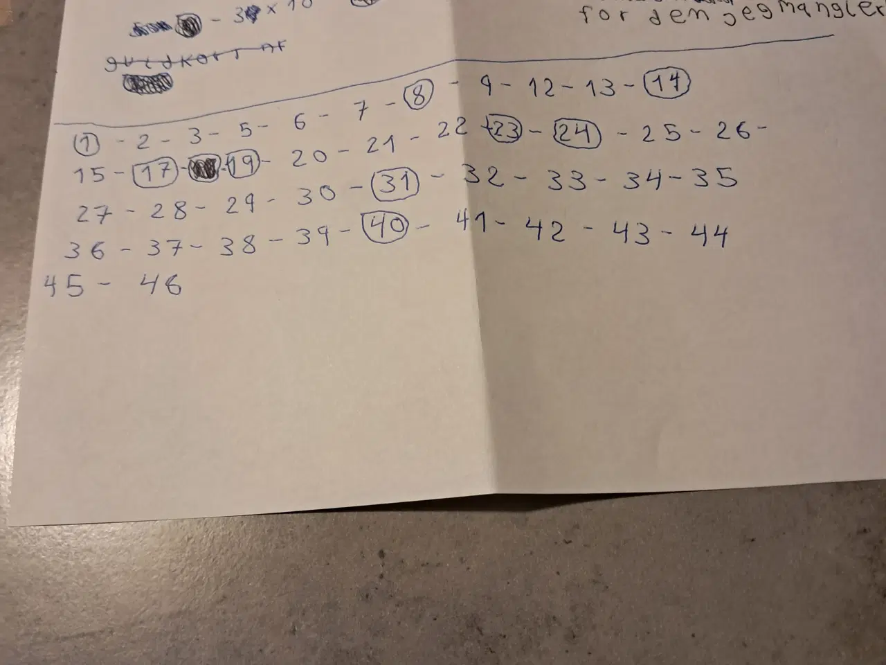 Billede 2 - Valdes jul vintermiaklet