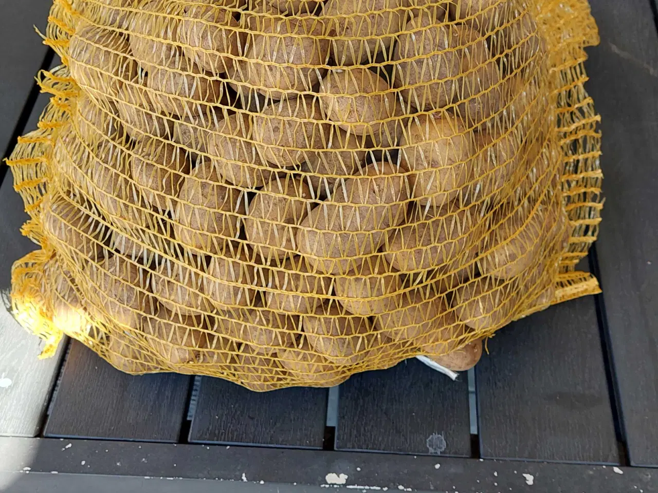 Billede 2 - SPISE/LÆGGEKARTOFLER