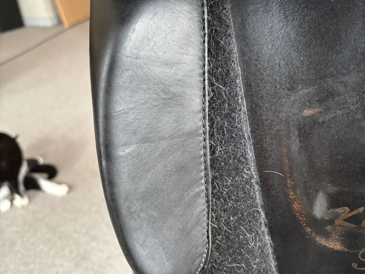 Billede 5 - Kentaur Ithaka 17” dressursadel sælges