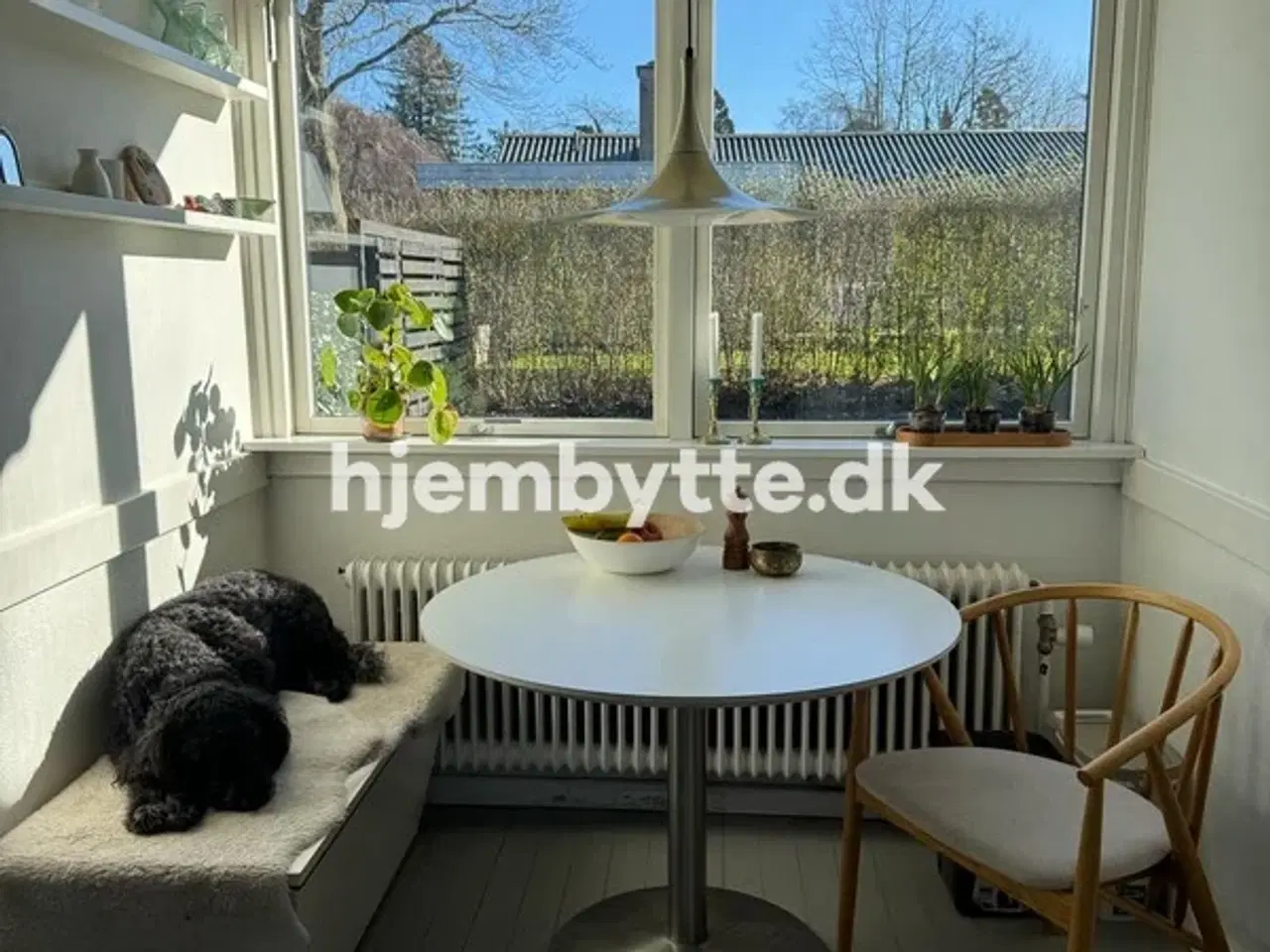 Billede 11 - Hjembytte - Æblerosestien