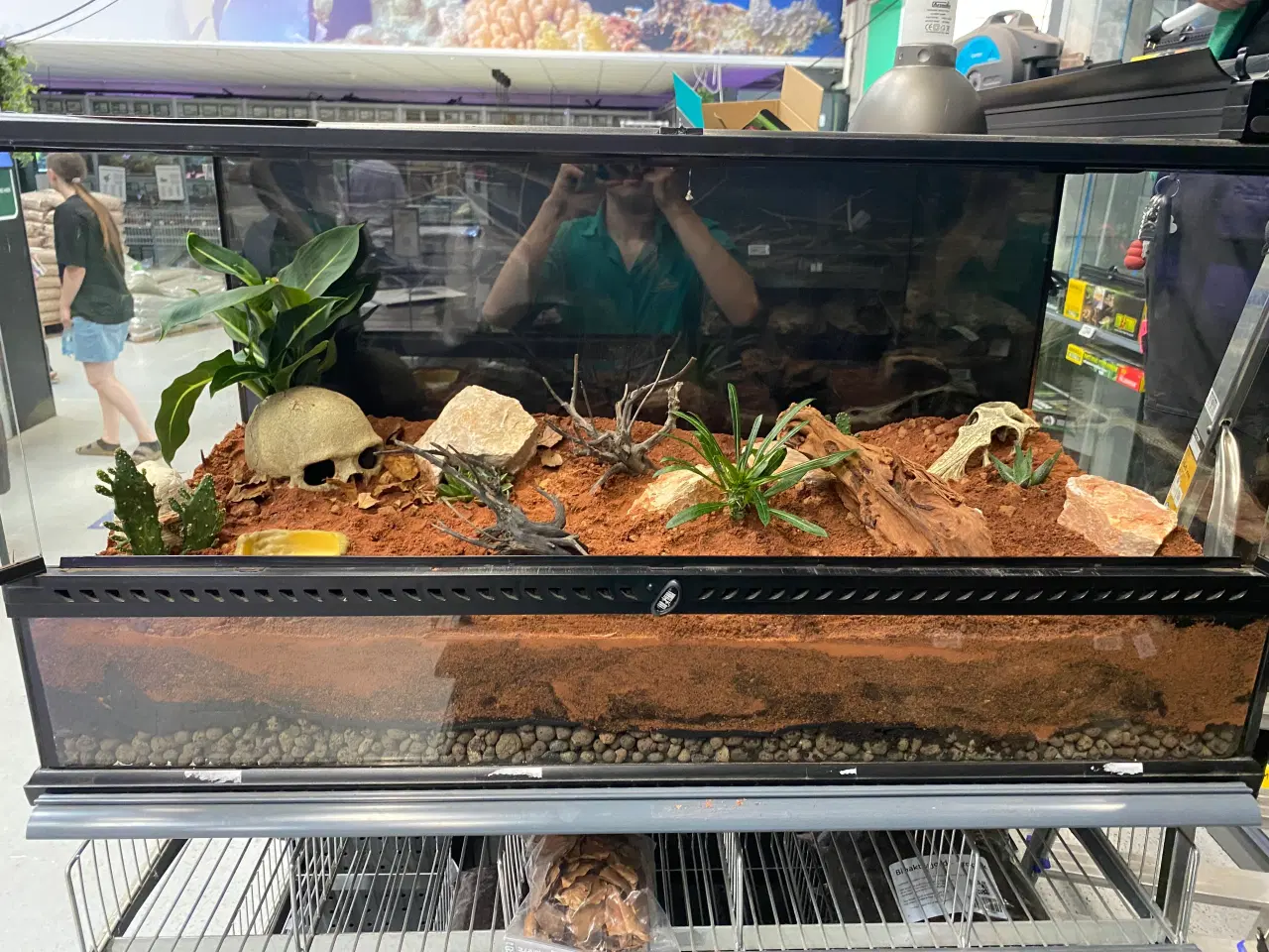 Billede 3 - Terrarier efter ønske – jeg laver/bygger/indretter