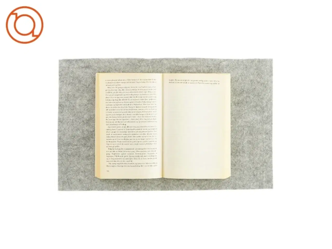 Billede 3 - Mit århundrede af Günter Grass (bog)