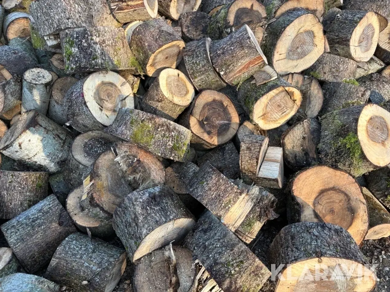 Billede 11 - Poppeltræ cirka 90 rummeter