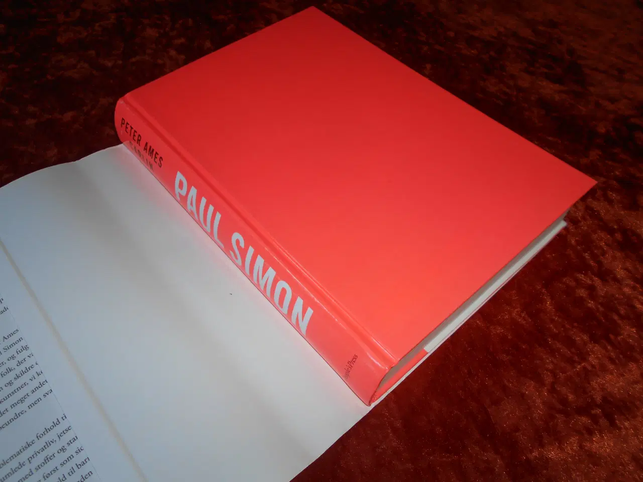 Billede 2 - Paul Simon, Peter Ames Carlin,