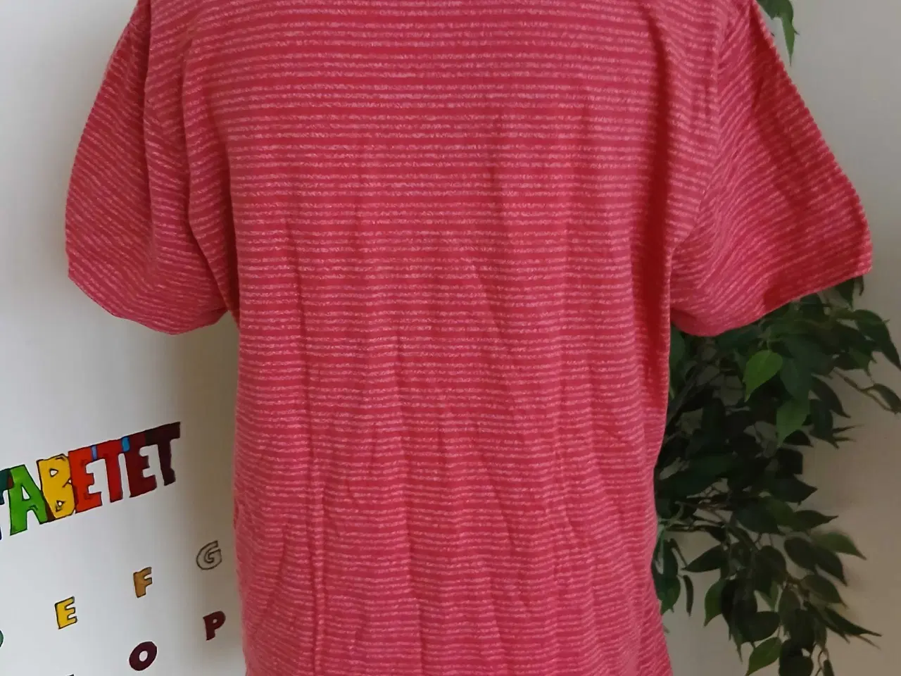 Billede 5 - T-shirt. Lindbergh. XL