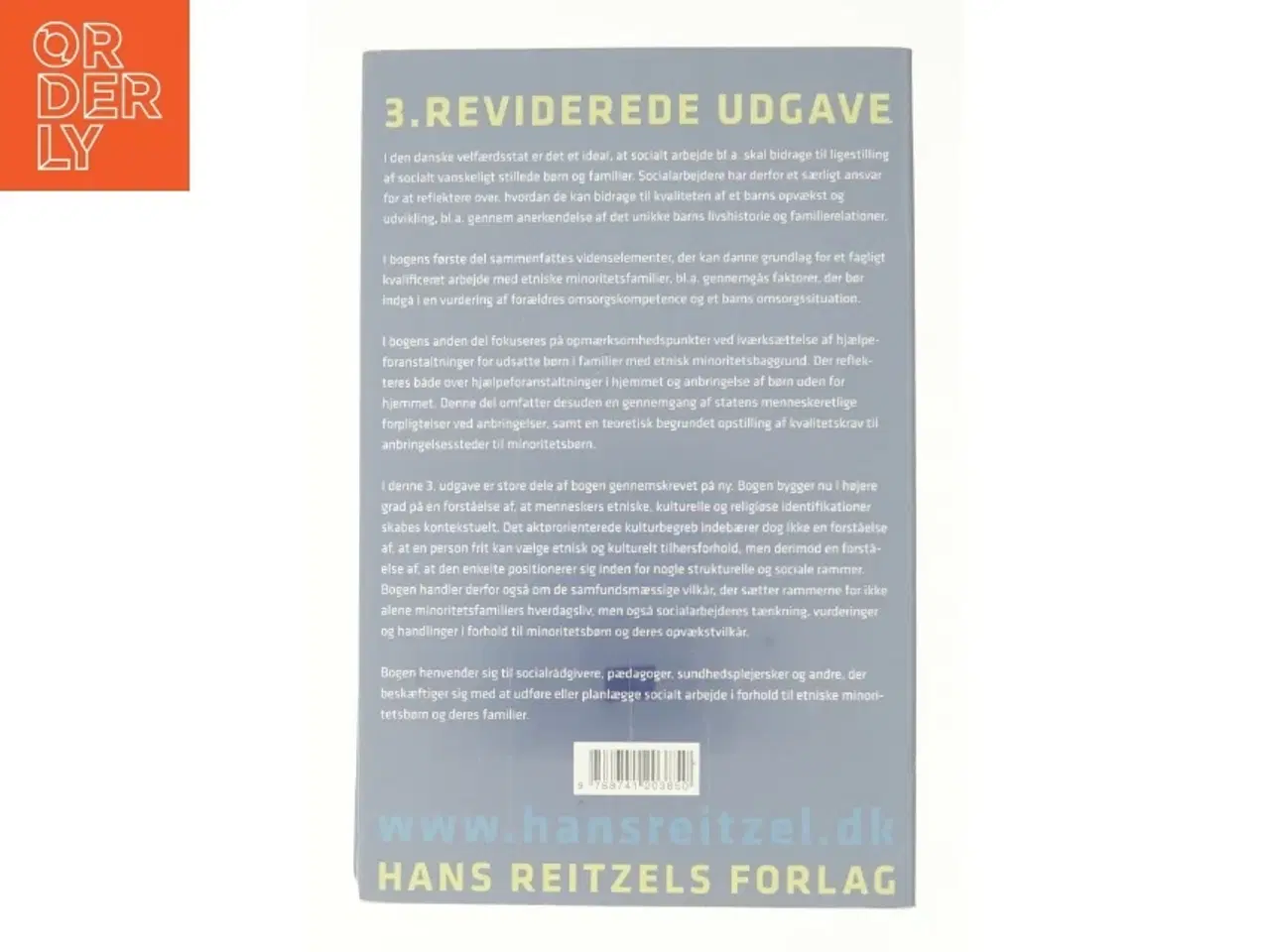 Billede 3 - Etniske minoritetsfamilier og socialt arbejde af Marianne Skytte (Bog)
