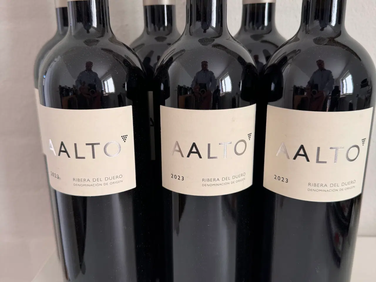 Billede 1 - Aalto  ribera del Duero 