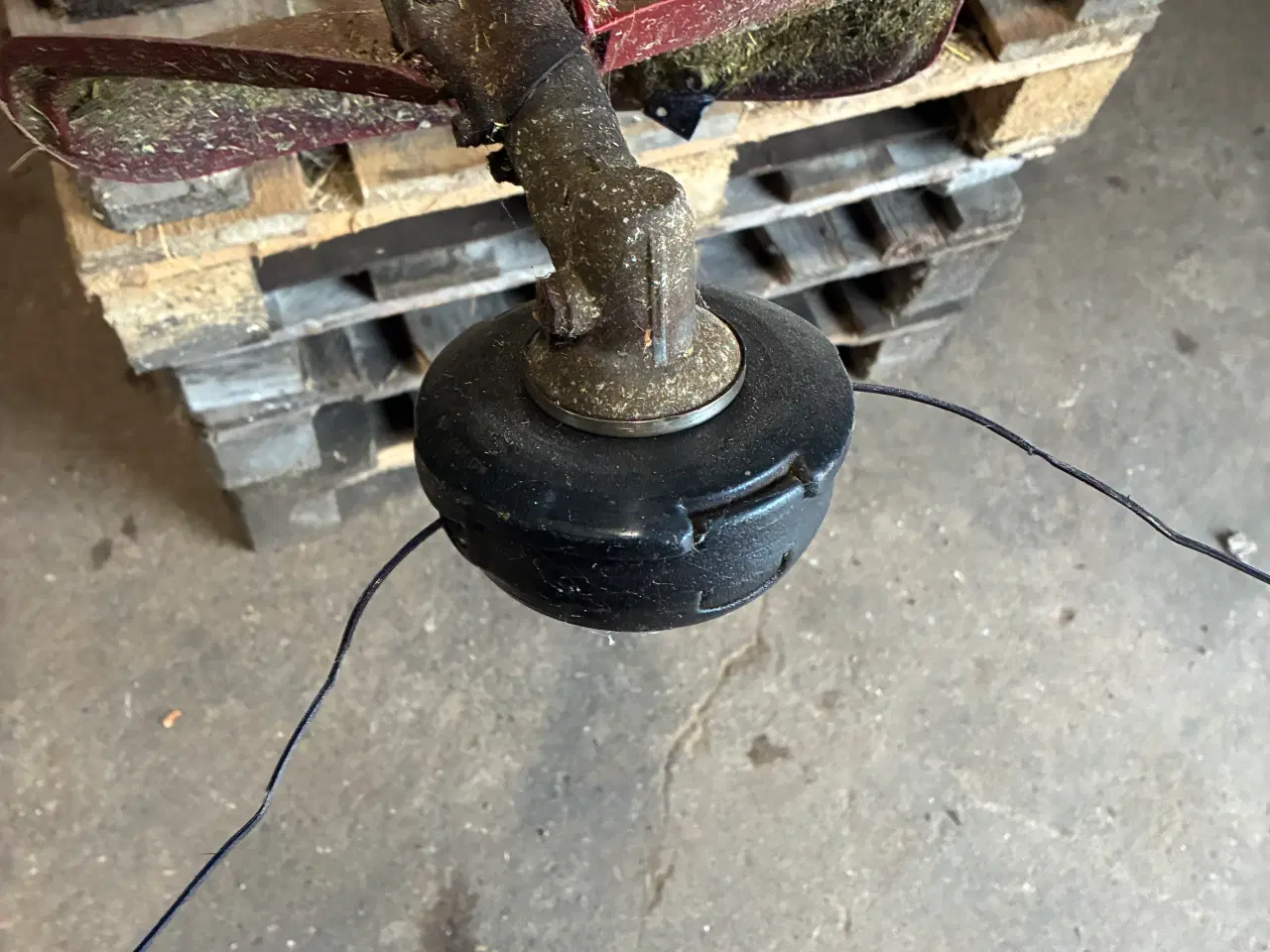 Billede 6 - Buskrydder