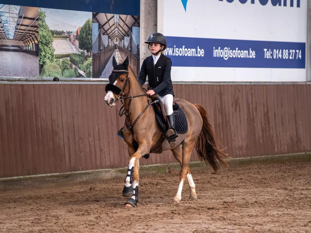 Billede 1 - Super dejlig og flink 2’er pony 