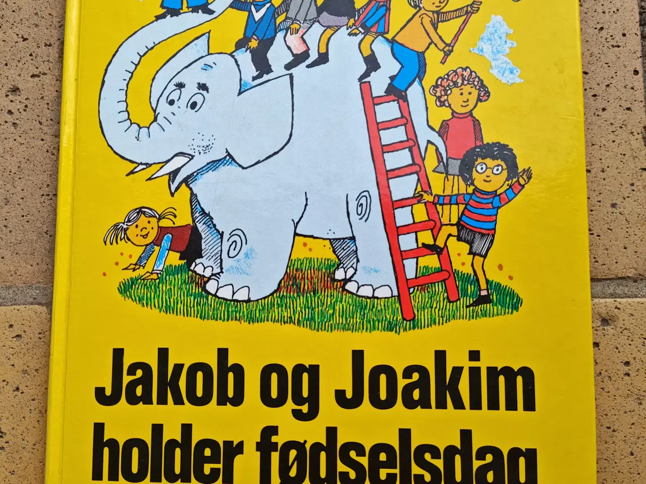Billede 1 - Jakob og Joakim holder fødselsdag - Jørgen Clevin