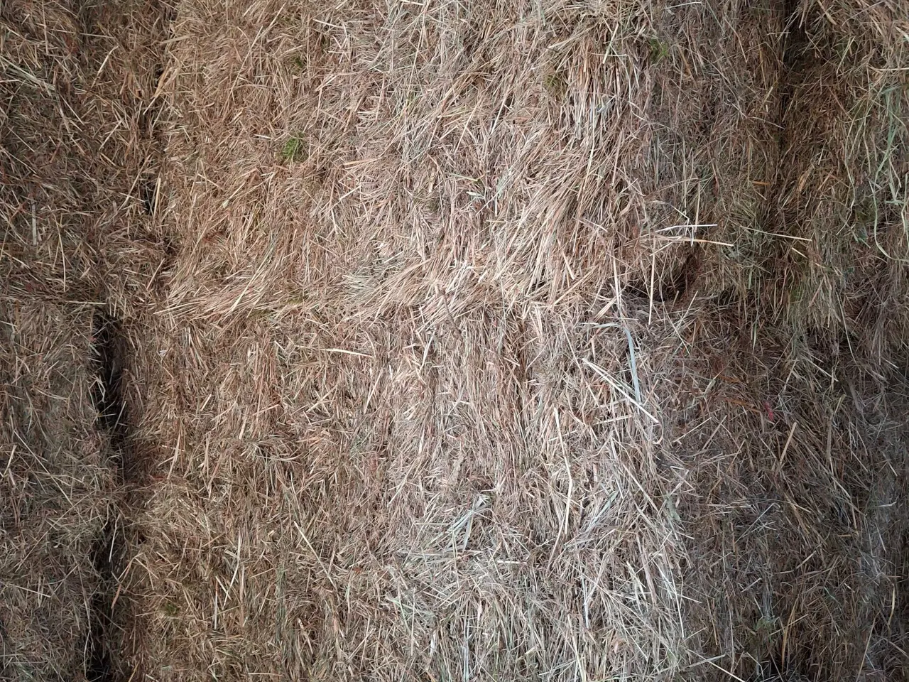 Billede 3 - Prima tørt hø
