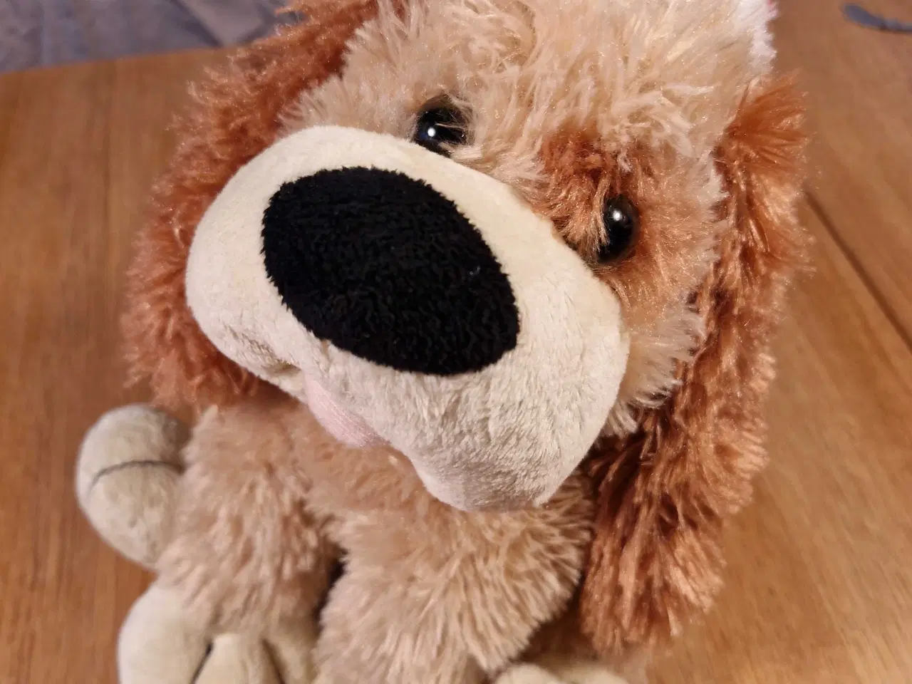 Billede 3 - Syngende hund