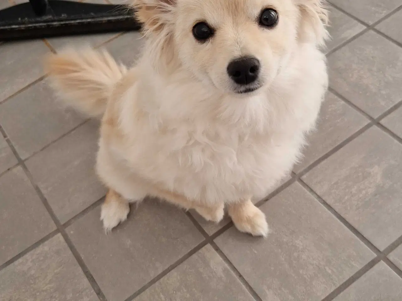 Billede 3 - Smuk krudtugle