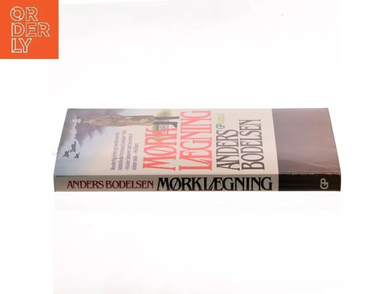 Billede 2 - Mørklægning af Anders Bodelsen (Bog)