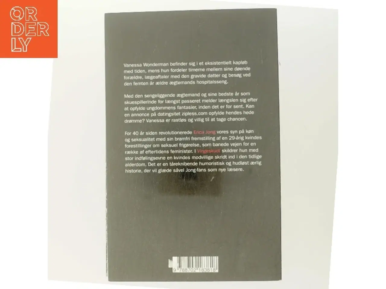 Billede 3 - Vingeskudt : roman af Erica Jong (Bog)