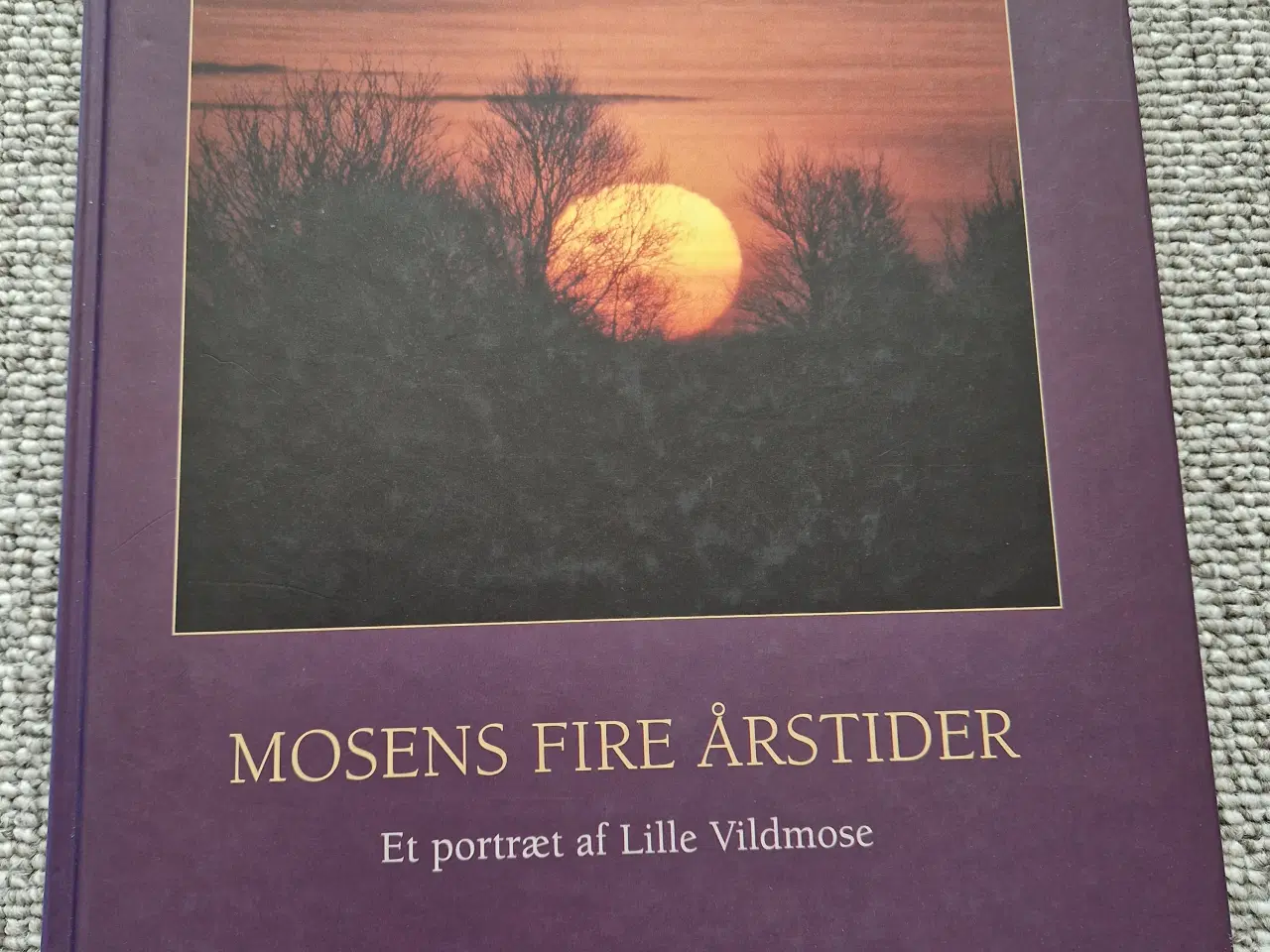 Billede 1 - Mosens fire årstider 