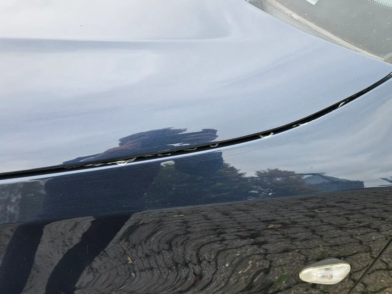 Billede 13 - Saab 9-3 1,8t BioPower