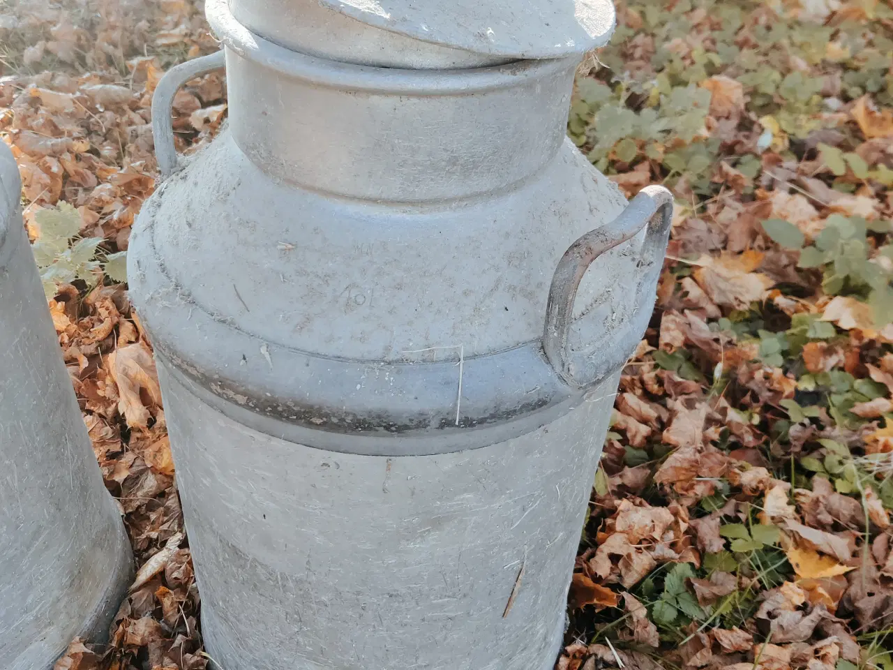 Billede 2 - To mælke junger til salg