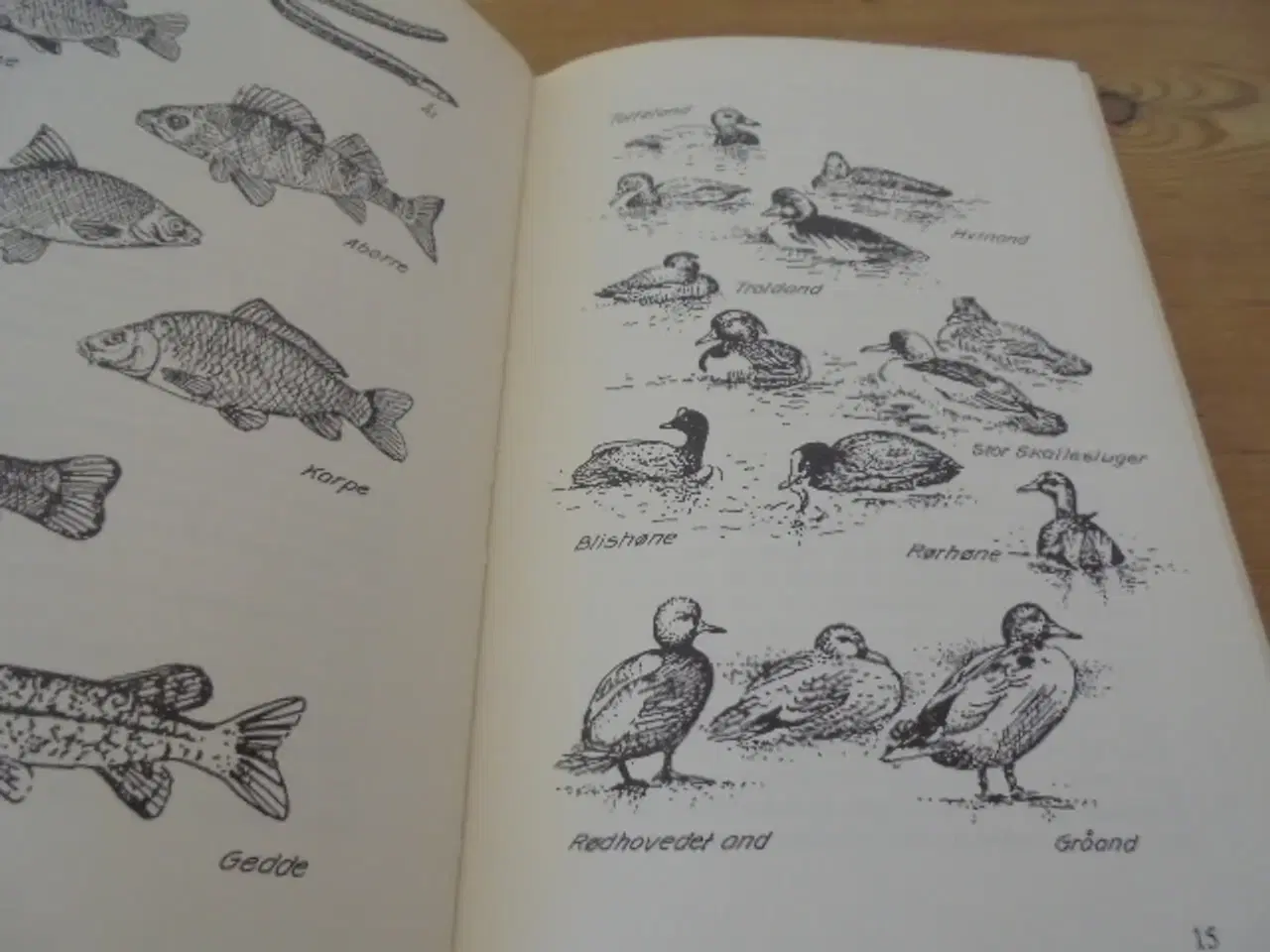 Billede 2 - RUNDT OM GENTOFTE SØ – Se fotos og omtale