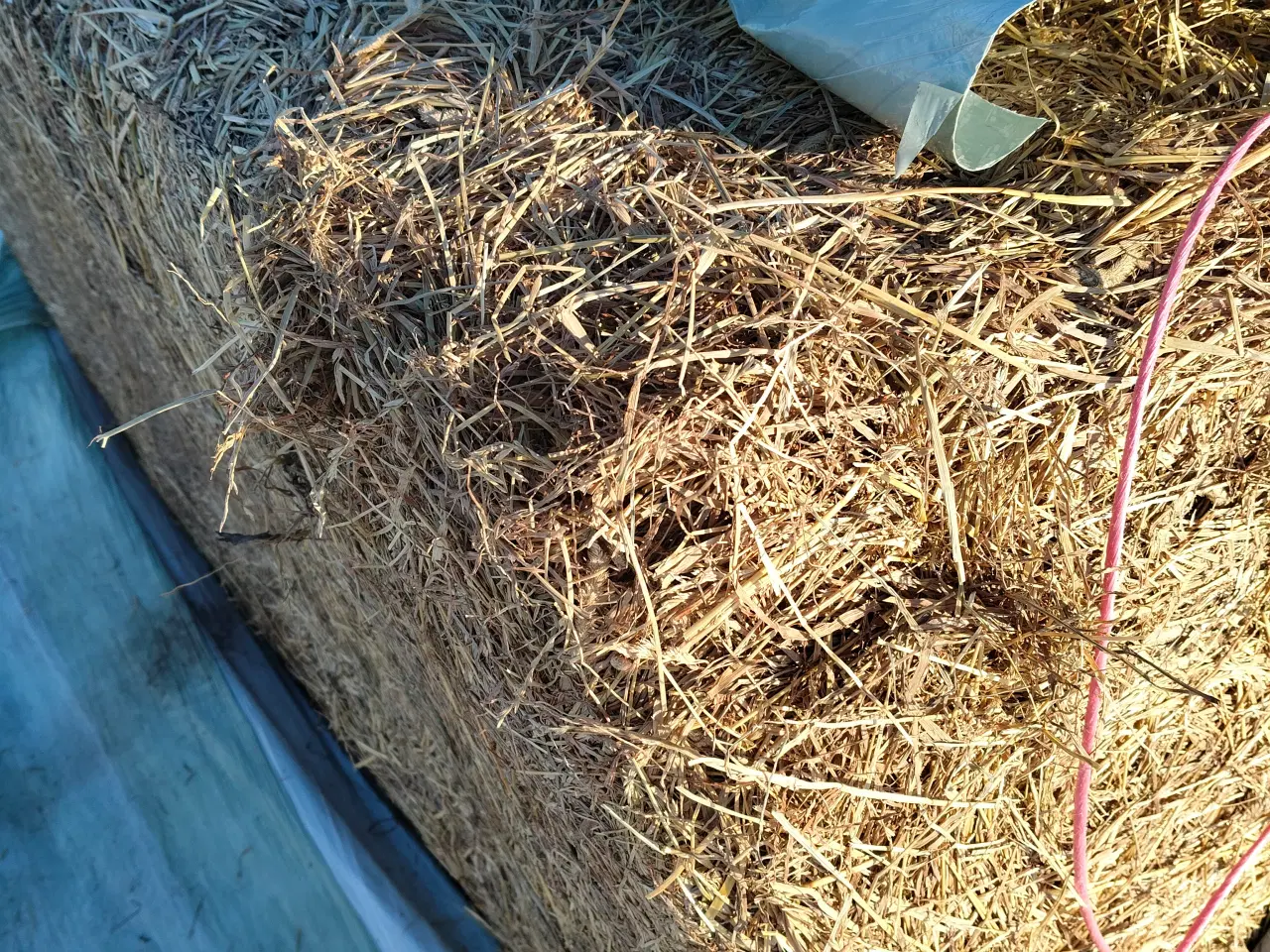 Billede 2 - Hestehø – flot kvalitet, wrapped