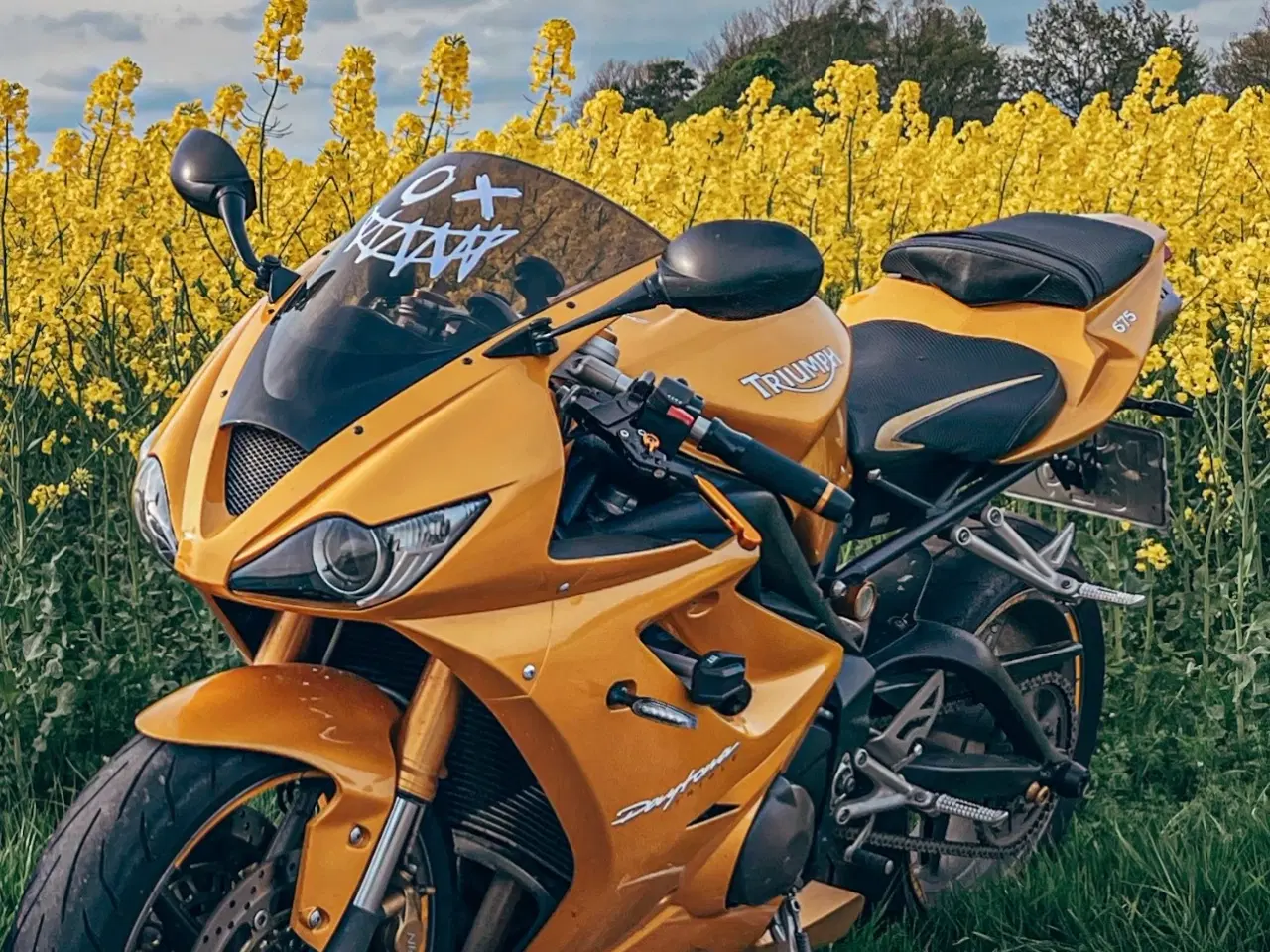 Billede 2 - Triumph Daytona 676