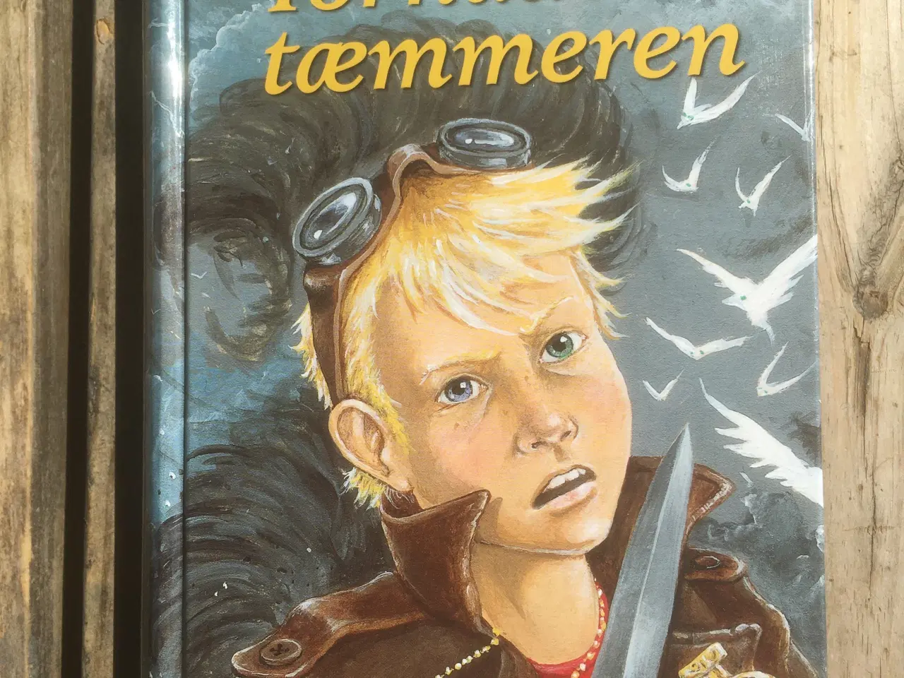 Billede 1 - Tornadotæmmeren, P. R. Morrison, genre: fantasy