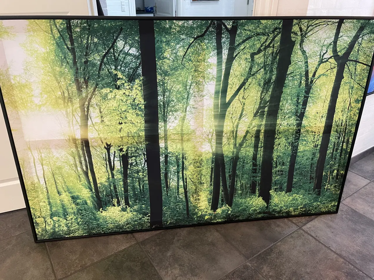 Billede 2 - Store Flotte lærreds billeder 