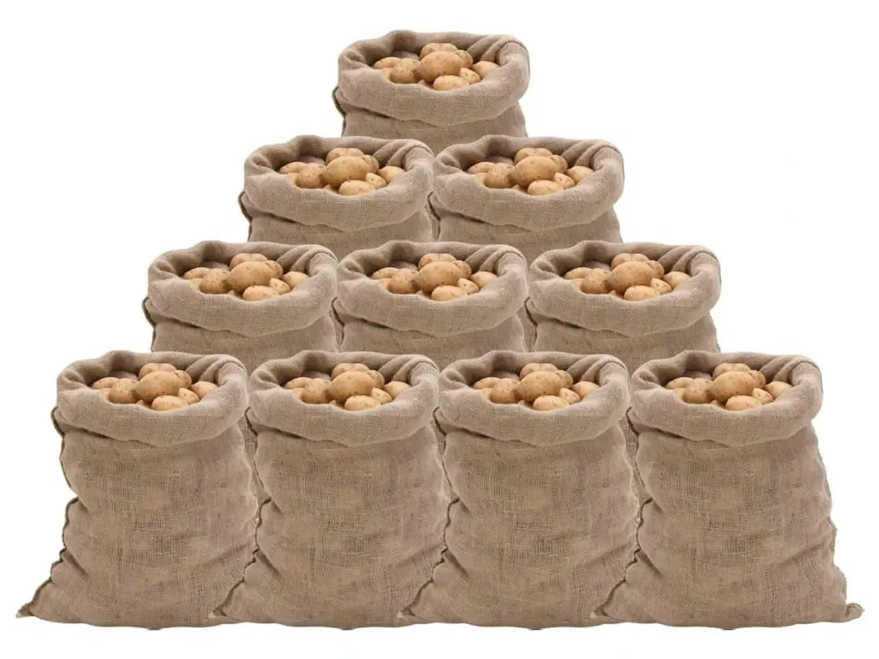 Billede 1 - Jutesække 10 stk. 60x105 cm 100 % jute 220 g/m2