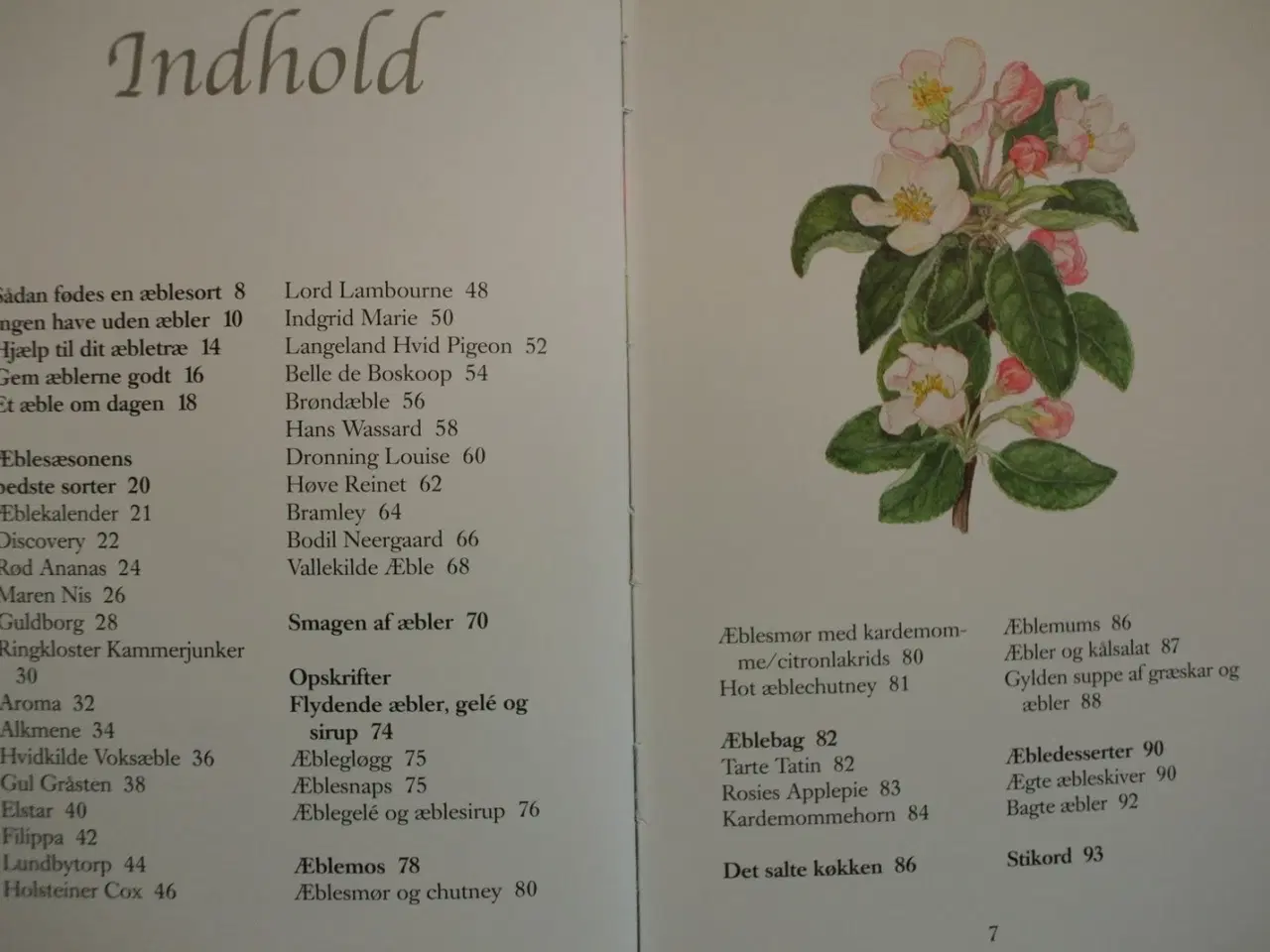 Billede 2 - æbler - sorter der smager, af maren korsgaard, emn