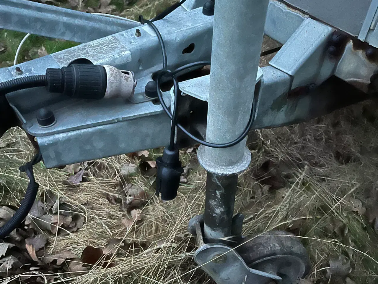 Billede 8 - (Solgt) God Brenderup hestetrailer sælges 