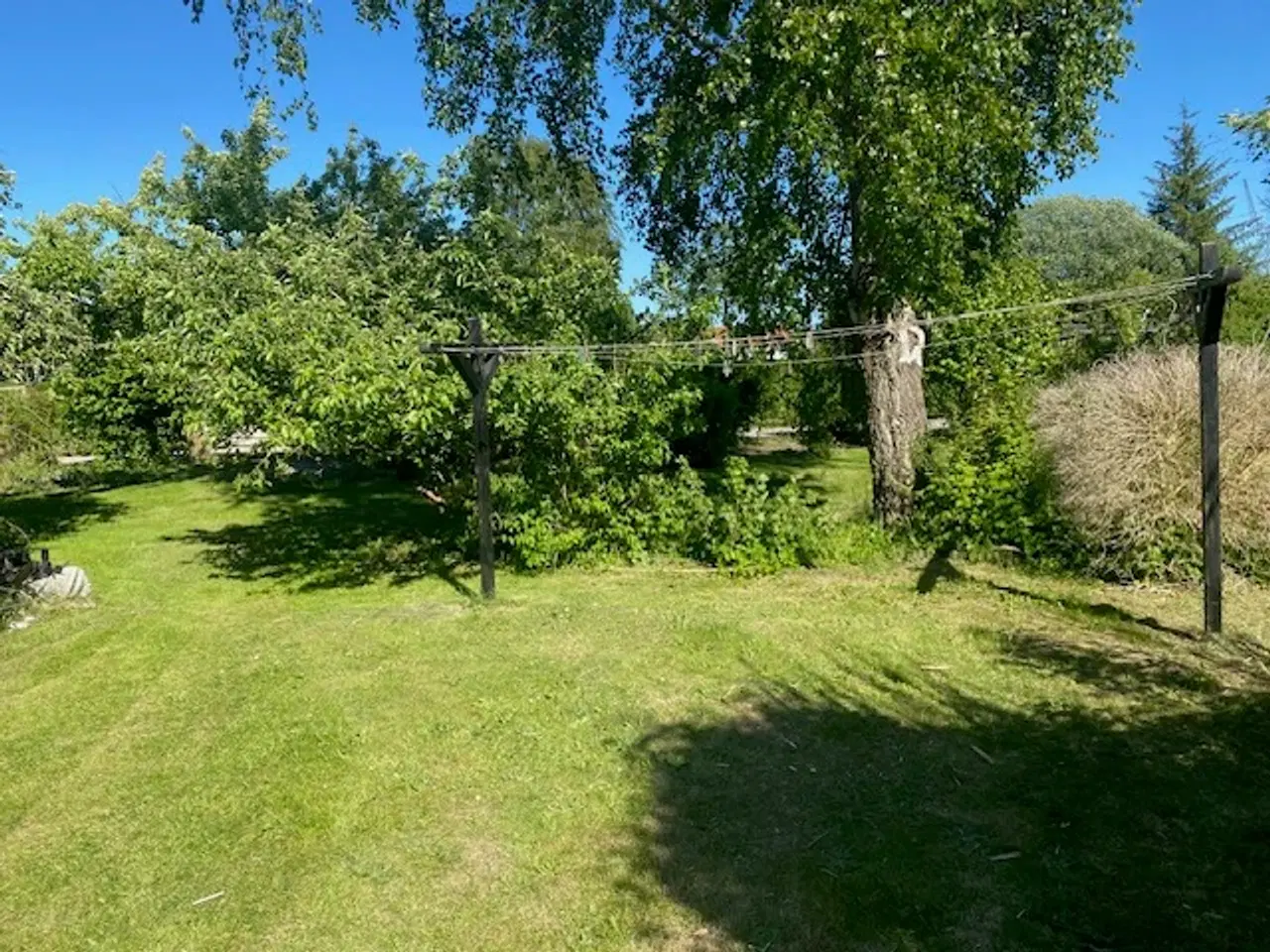 Billede 6 - kolonihave med charmerende hus – Haveforeningen Ba