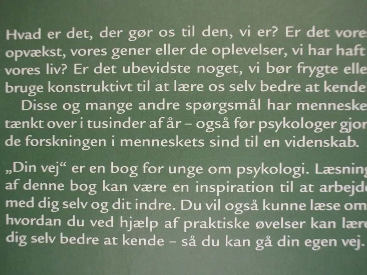 Billede 3 - din vej - psykologi og selvværd, Af terje nordberg